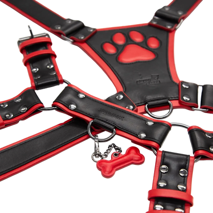 PU Leather Puppy Harness