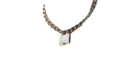 ruff GEAR Boxer Chain 3.6mm with 30mm Master Lock