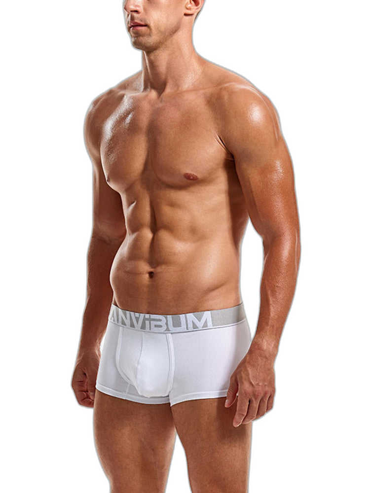 2 Pack Men's Breathable Big Pouch Trunks