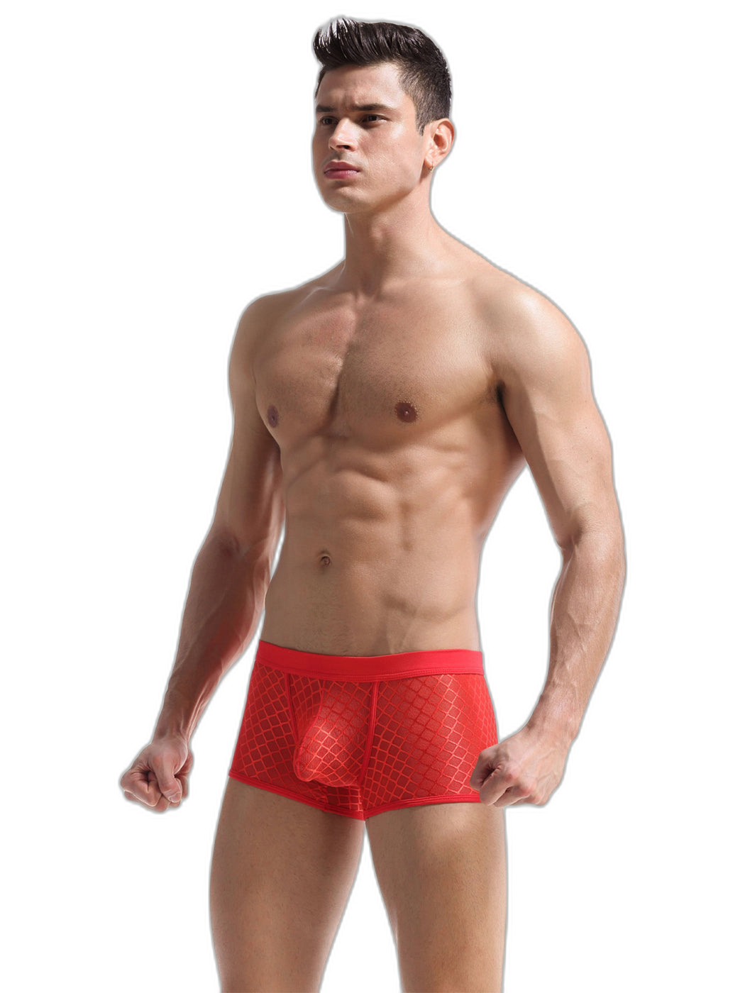 2 Pack Men's Sexy Transparent Mesh Trunks