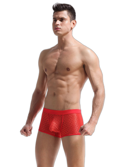 2 Pack Men's Sexy Transparent Mesh Trunks