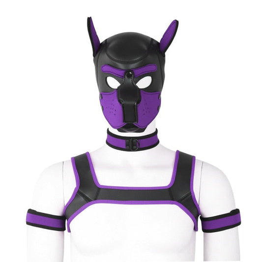 Neoprene Gay Pup Gear Starter Kit