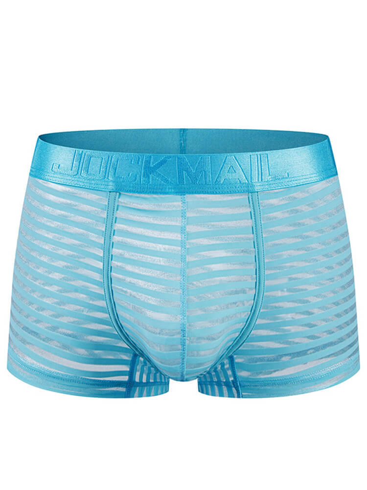 Men's Lightweight Sheer Striped U-Pouch Trunks
