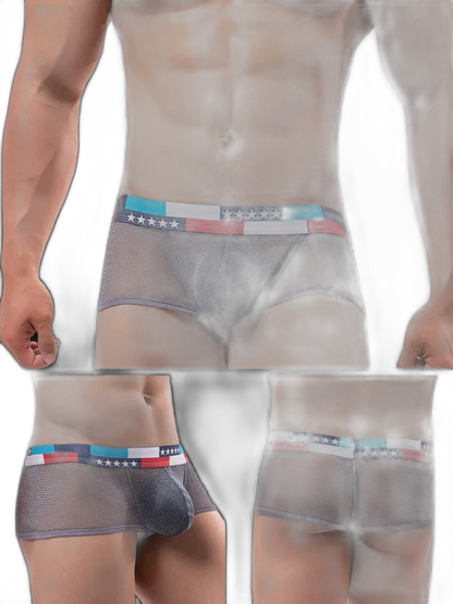 4-pack Low-rise Micro-mesh Boxer Briefs