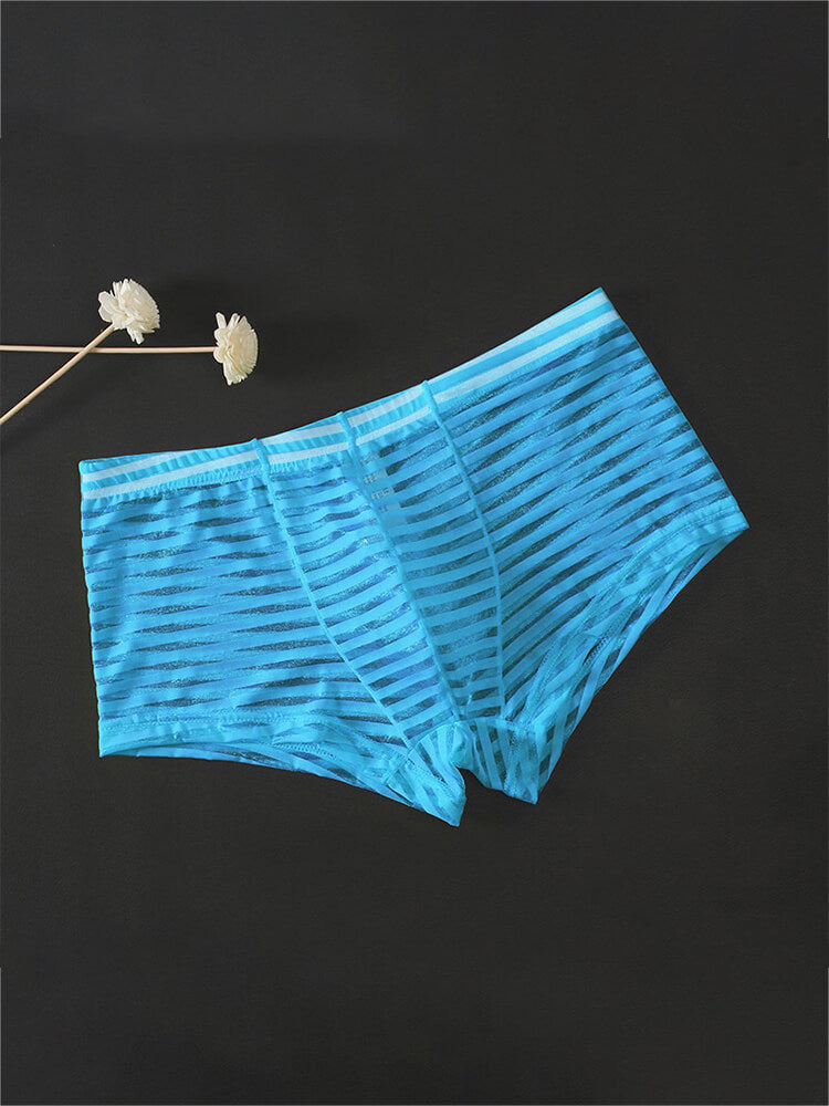 Men's Sexy Mesh Transparent Striped Boxer Briefs