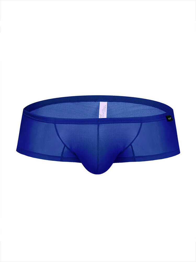 Men's Sexy Thin Low-Rise Ice Silk Boxer Briefs