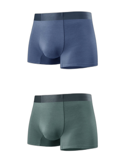 2 Pack Men's Anti-Bacterial Modal Trunks