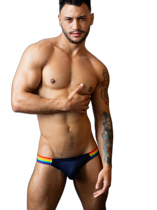 Men's Sexy Rainbow Pride Mesh Bikini