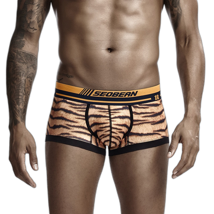 Seobean Tiger Boxers