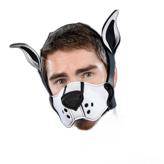 Mr S Leather Neoprene K9 Kit ears White