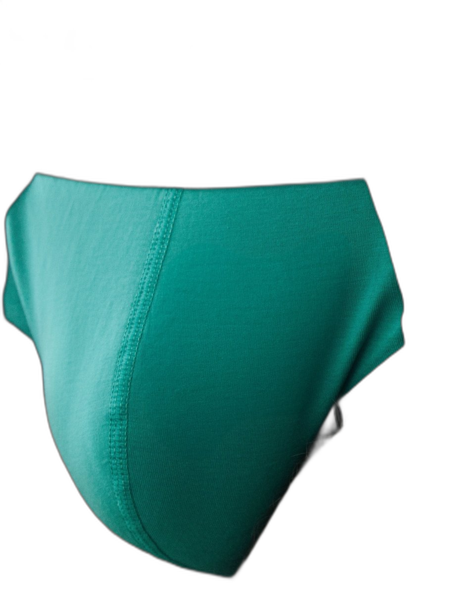DEN CORE Brief - Teal Green