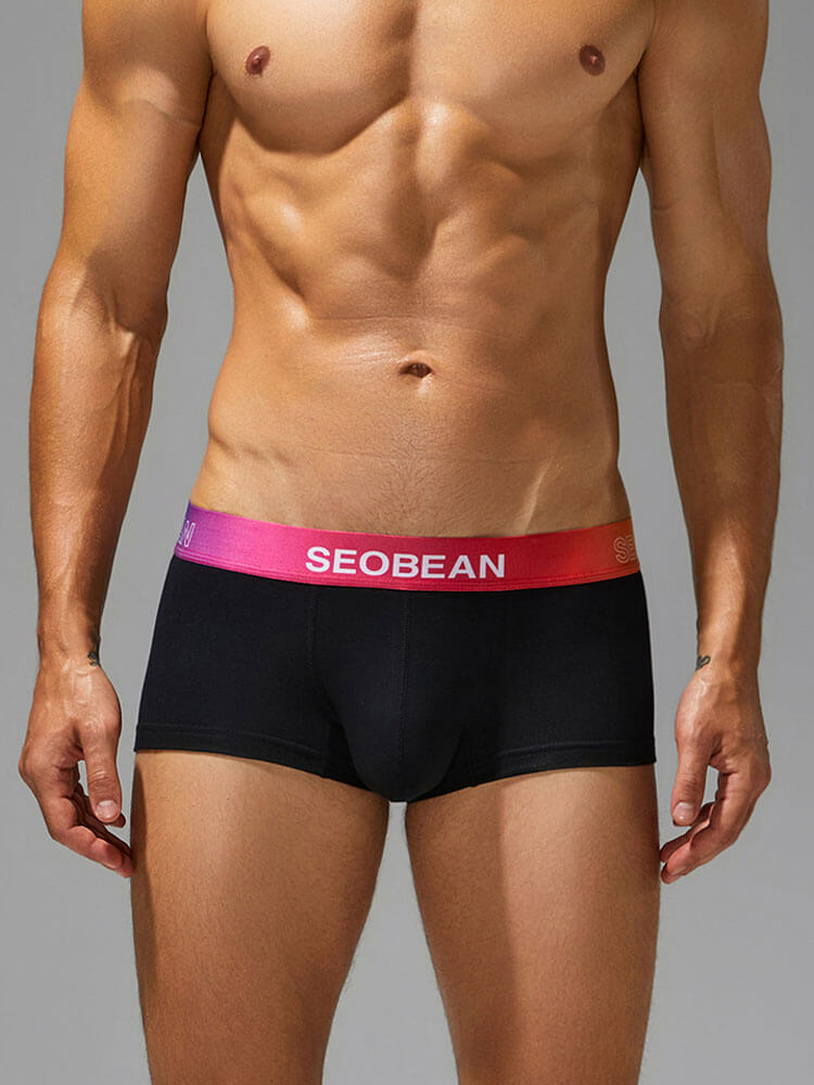 Men's Gradient Waistband U-Pouch Sexy Trunks