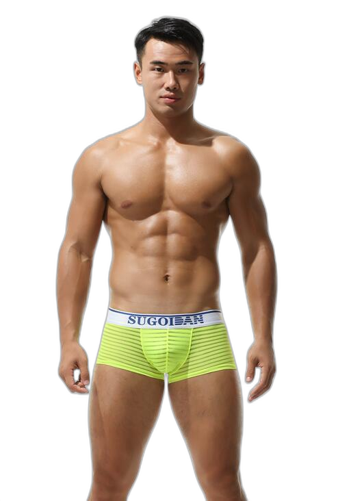 Men's Sexy Transparent Striped Trunks