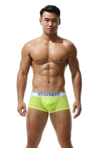 Men's Sexy Transparent Striped Trunks