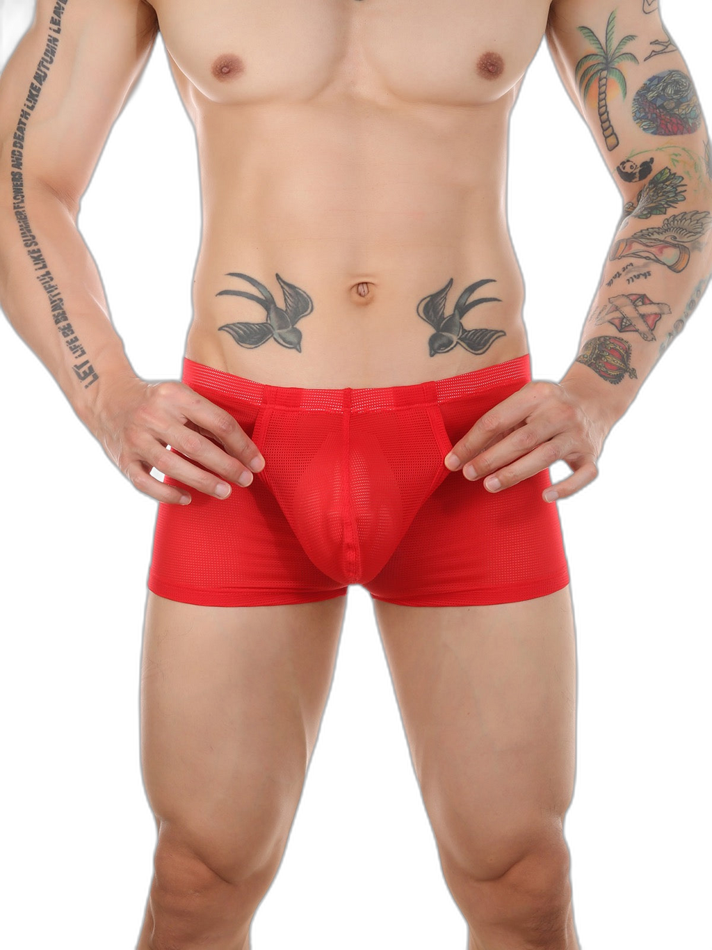 Men's Big Pouch U-convex Trunks with Fly