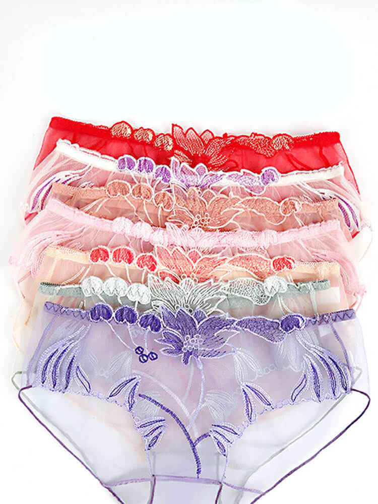 Sexy Lace Transparent Mesh Seamless Briefs