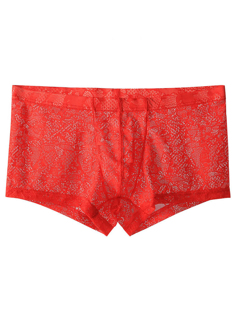 Men's Low-Rise Sexy Lace See-Through Boxer Briefs