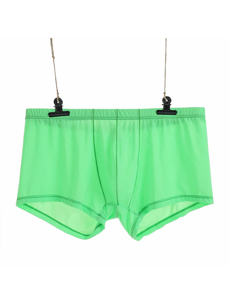 Men's Sexy Low-Rise Thin Transparent Boxer Briefs