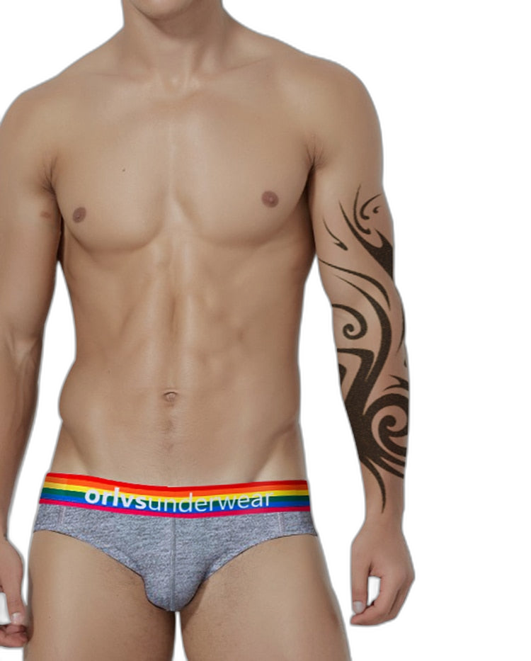 ORLVS Pride Briefs
