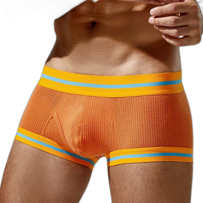 Tauwell Retro Era Boxer Briefs