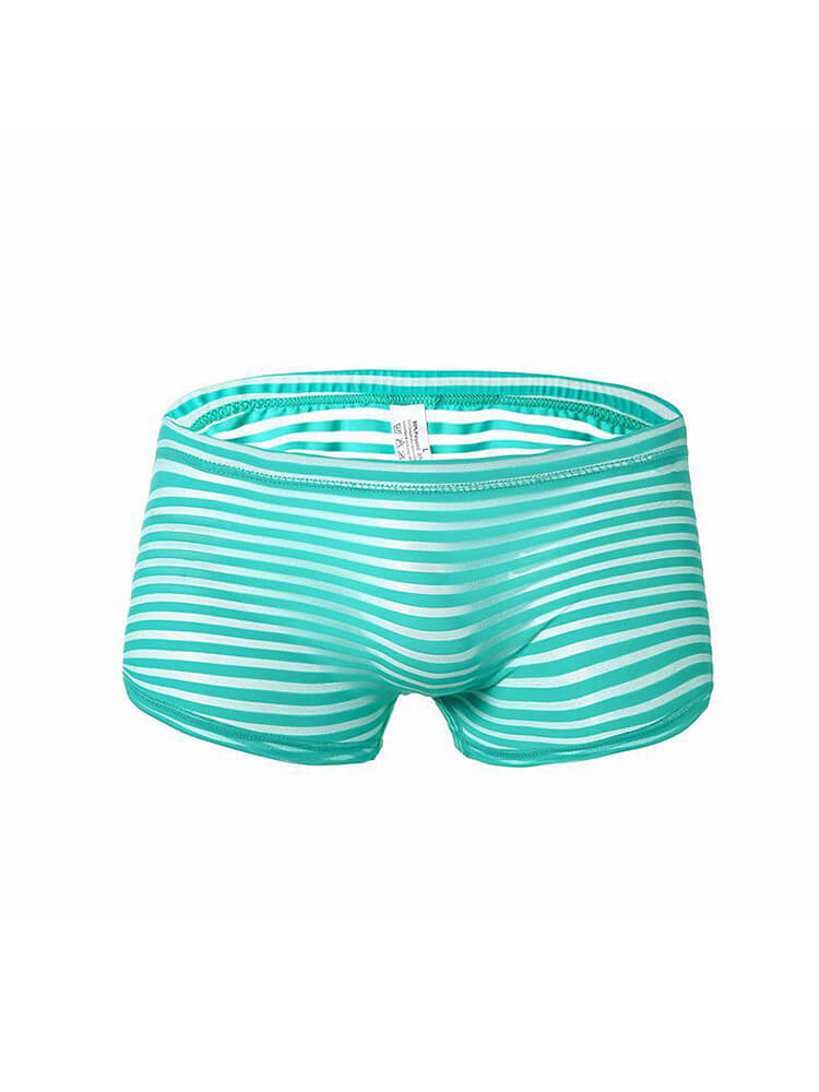 Men's Striped Mesh See-Through Boxer Briefs