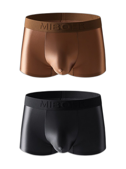2 Pack Men's Premium Ice Silk Ultra-Soft Lightweight & Airy Trunks