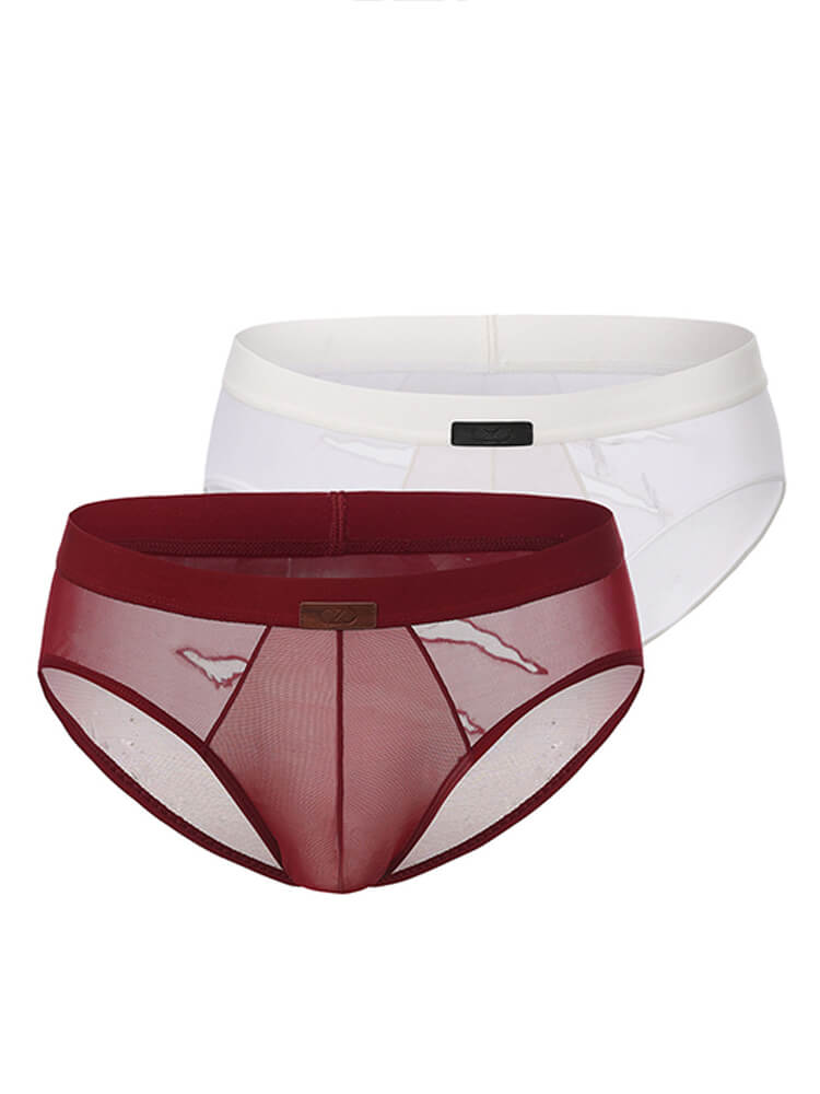Men's Sexy Mesh Scratch-Mark Design Briefs