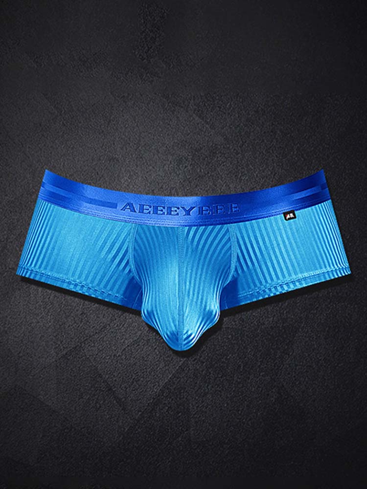 Men's Shiny Stripes Sexy Low-Rise Boxer Briefs