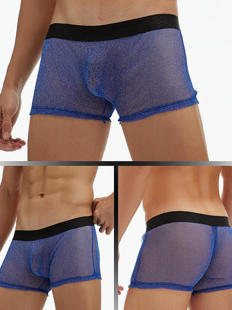 Men's Sheer Mesh Pouch Boxer