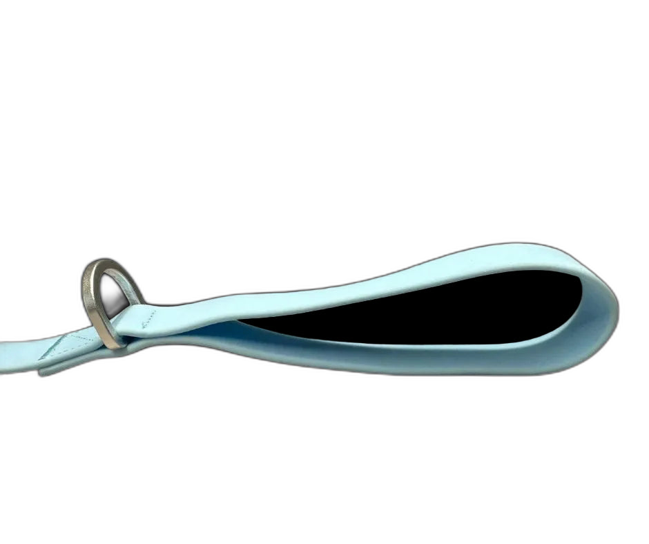 Tactical Carabiner Clip Lead Blue