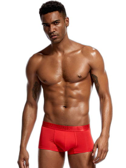 2 Pack Men's U Convex Modal Breathable Trunks