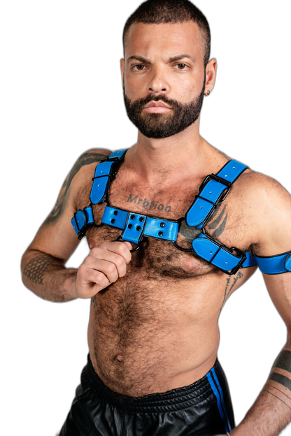 ruff GEAR Bold Leather Bulldog Harness Blue