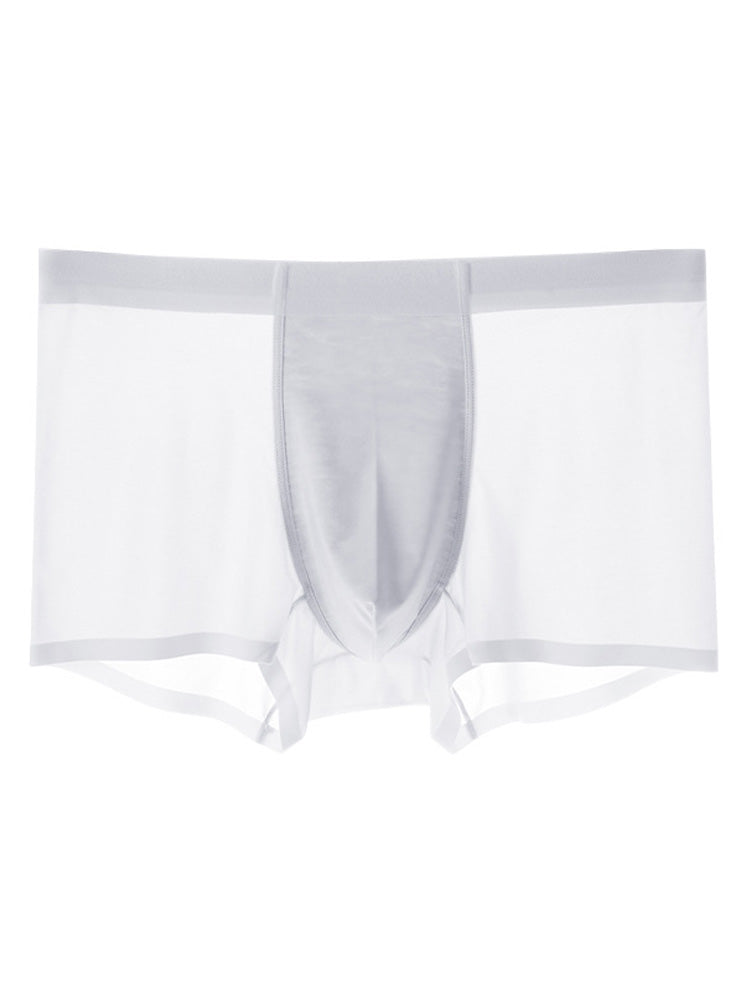 Men's Ice Silk Quick Dry Nylon Trunks