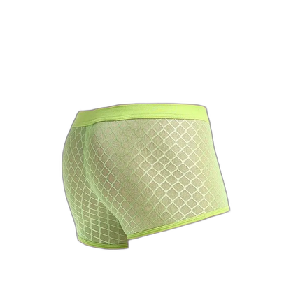 Transparent Mesh Boxers