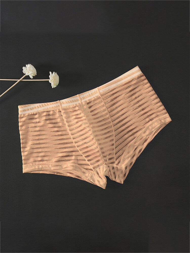 Men's Sexy Mesh Transparent Striped Boxer Briefs
