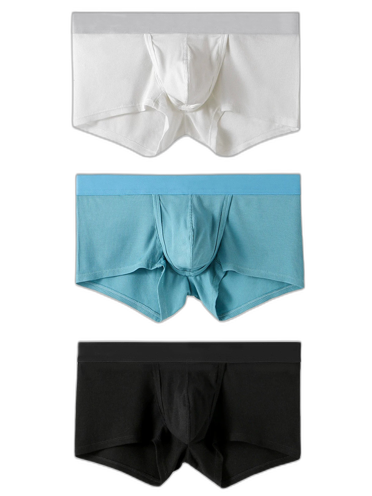 3 Pack Separate Ball Support Pouch Trunks