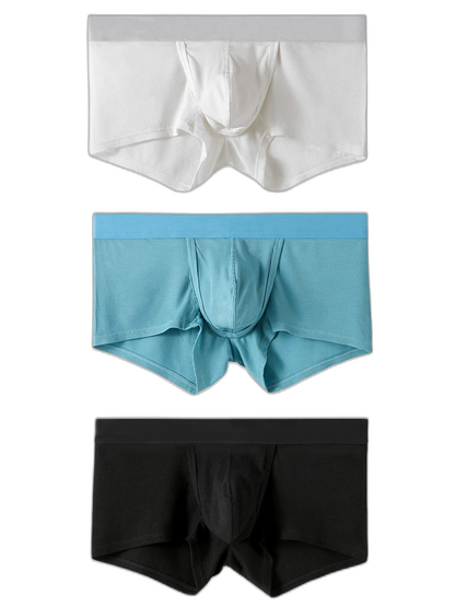 3 Pack Separate Ball Support Pouch Trunks
