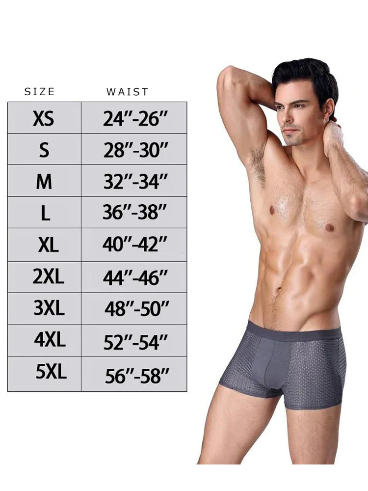 4 Pack Mesh Breathable Ice Silk Underwear Boxer