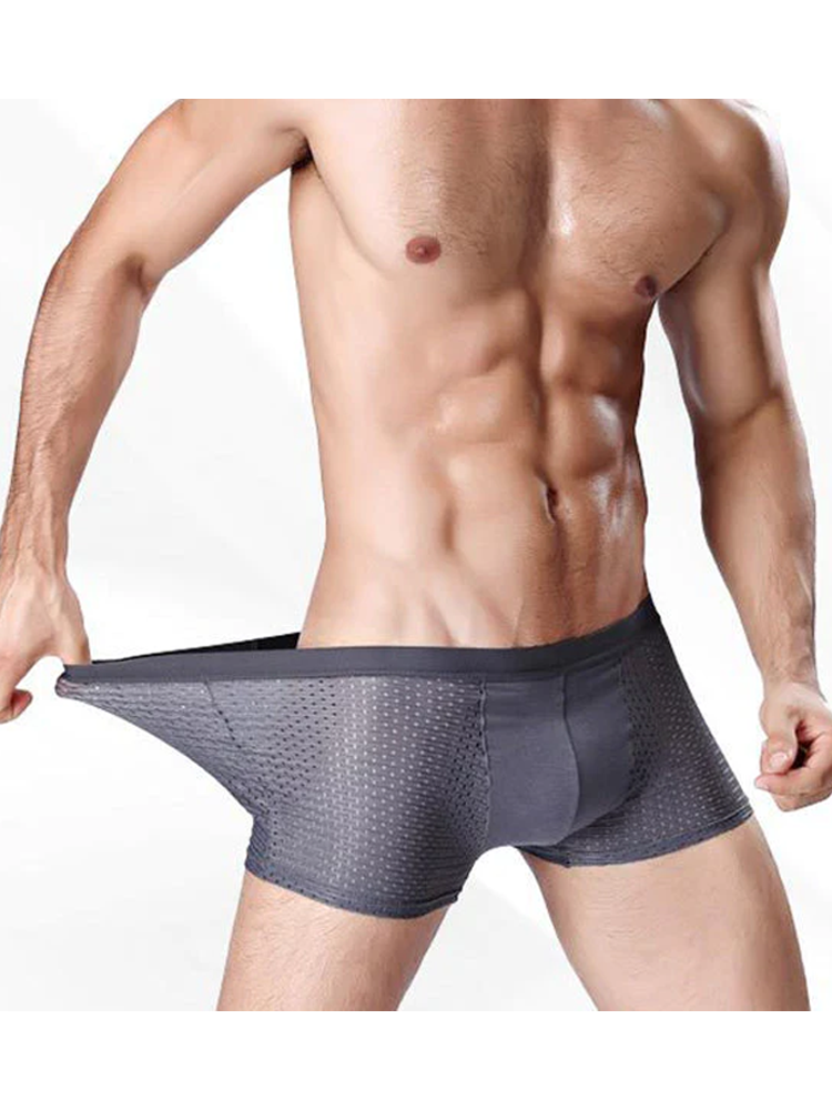 4 Pack Mesh Breathable Ice Silk Underwear Boxer