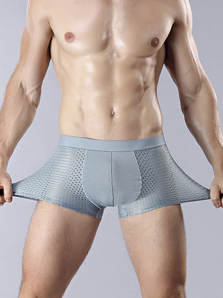 4 Pack Mesh Breathable Ice Silk Underwear Boxer