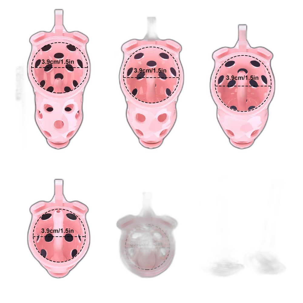Ensnare - Cock Cage With Belt - 5 Colors & Sizes