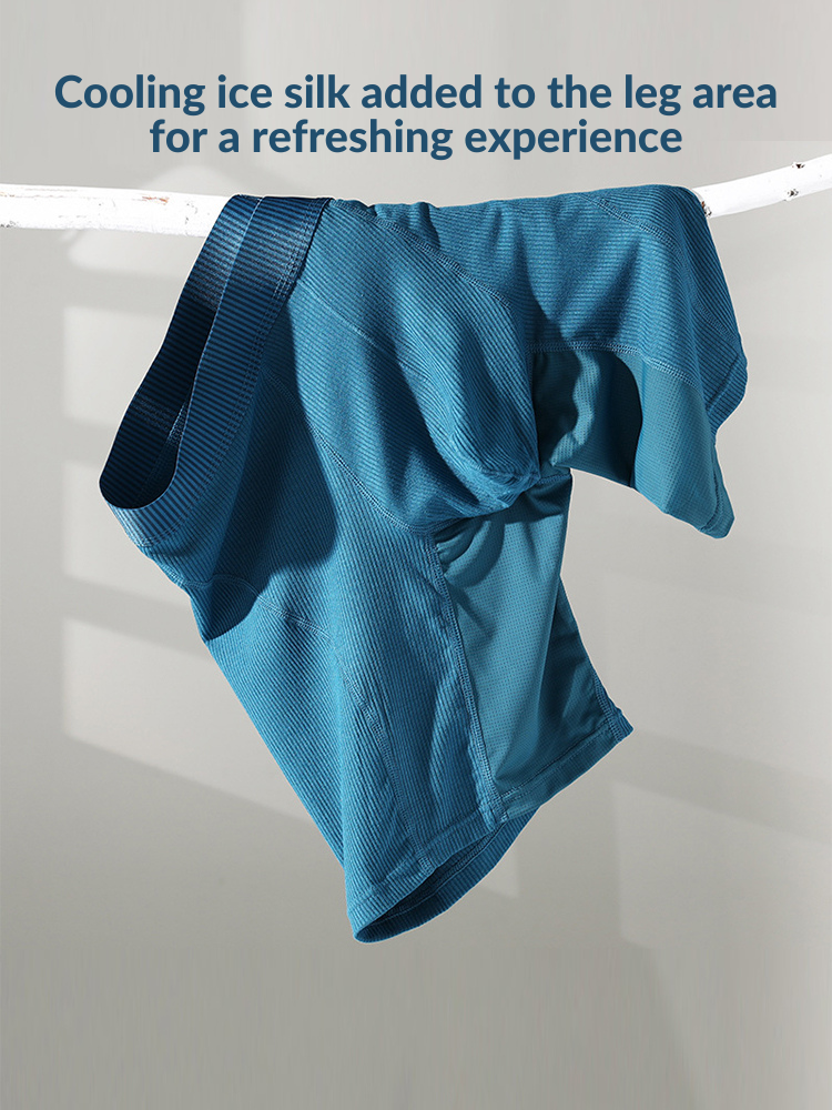 2 Pack Men’s Casual Ice Silk Midway Briefs