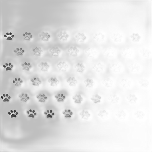 Animal Pet Paw Prints Personalised Wall Stickers Decal Home Decor Decals