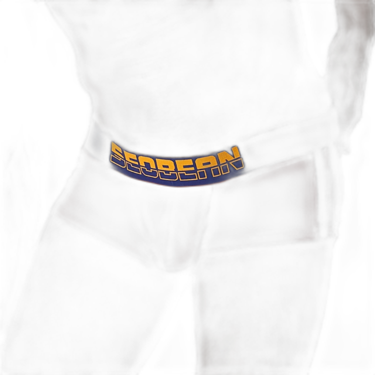 SEOBEAN Athletic Boxer Briefs