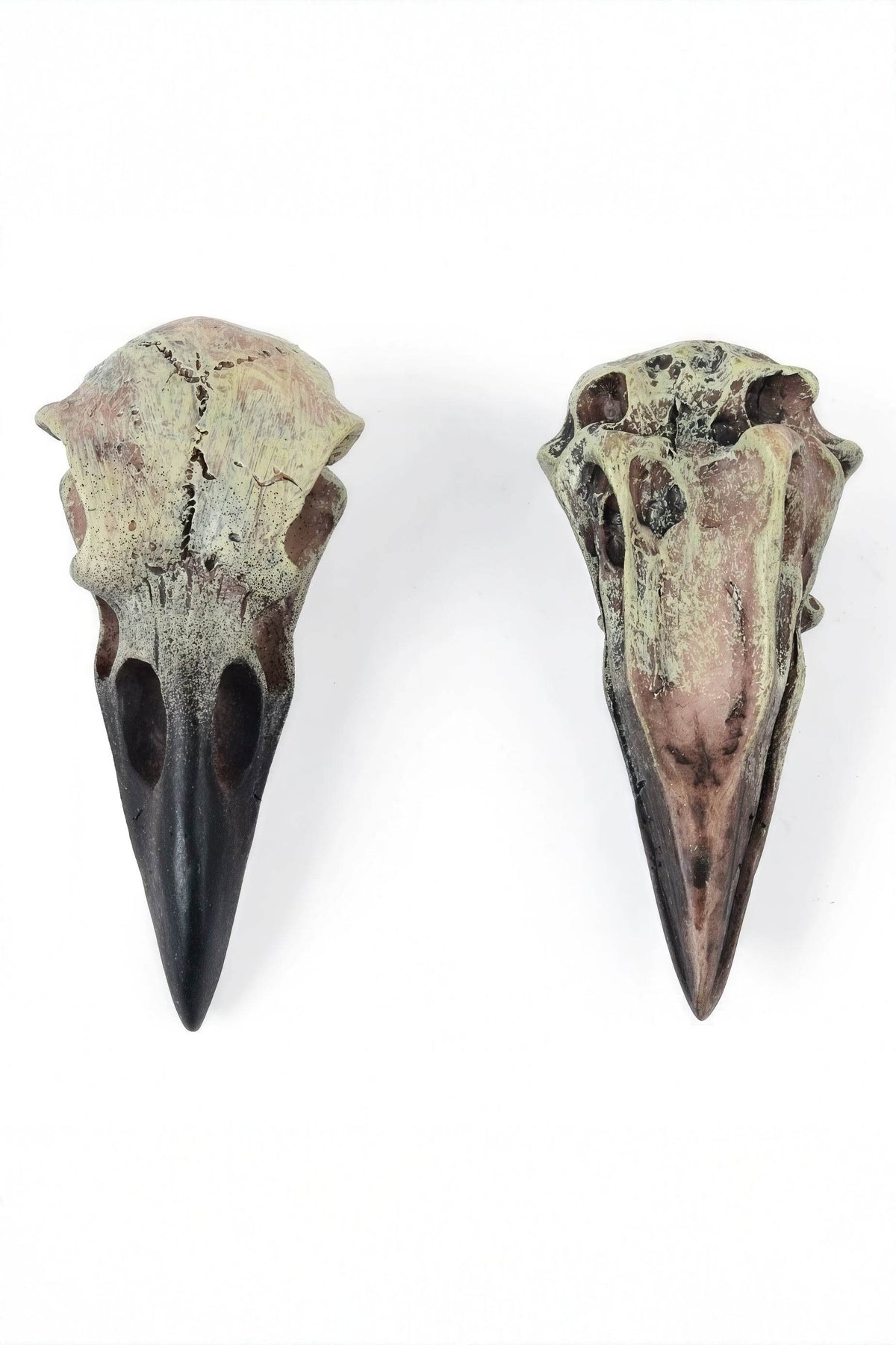 Gothic Raven Skull Pendant Necklace