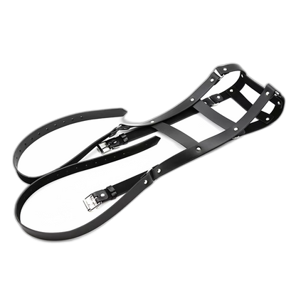 Double Strap Shoulder Harness