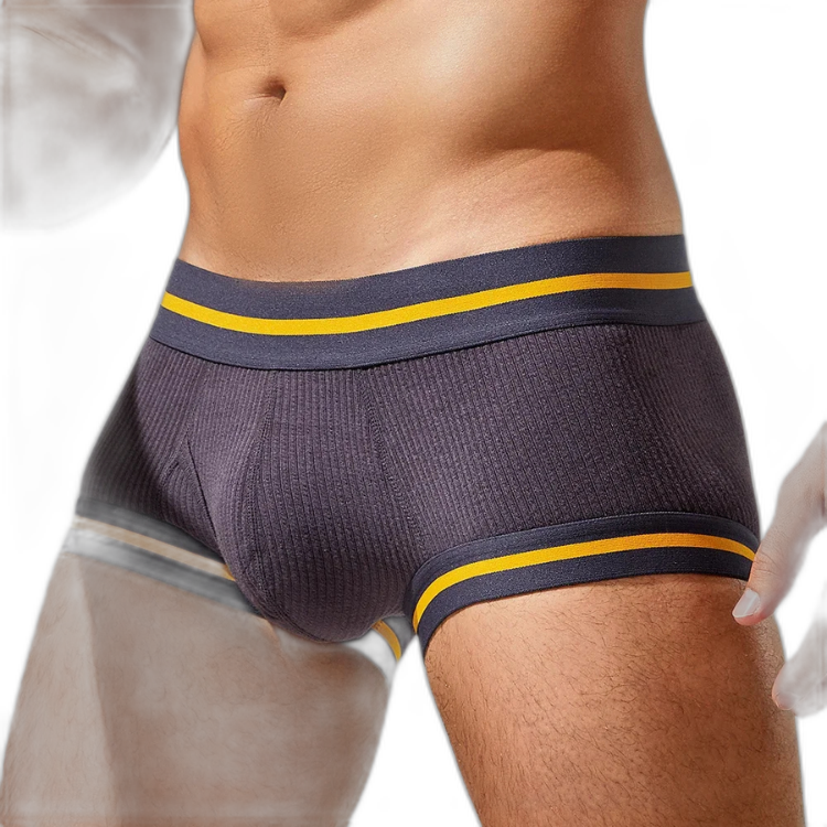 Tauwell Retro Era Boxer Briefs