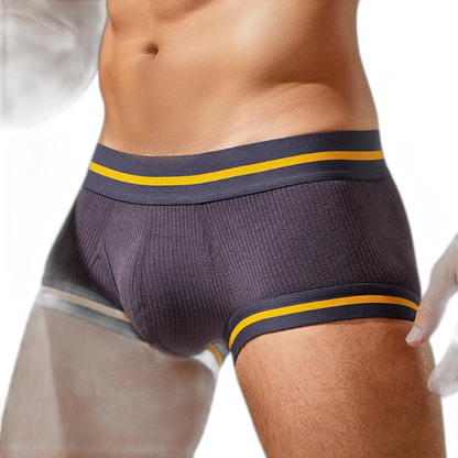 Tauwell Retro Era Boxer Briefs