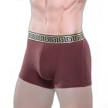 Olympus Boxer Briefs