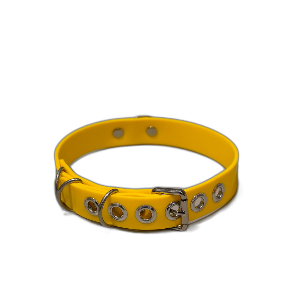Multi-D Buckle Style Silicone Collar